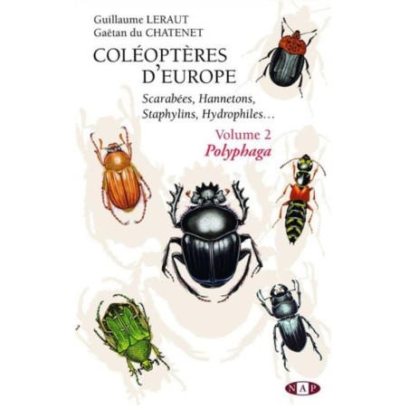 Coléoptères d'Europe, Scarabées, Hannetons, Staphylins, Hydrophiles - Volume 2 - Polyphaga