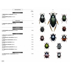 Coléoptères d'Europe, Scarabées, Hannetons, Staphylins, Hydrophiles - Volume 2 - Polyphaga