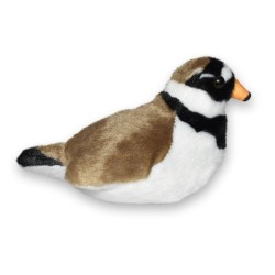 Peluche sonore - Gravelot Peluche sonore - Gravelot