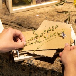 Presse à fleurs et herbes - Avec vis