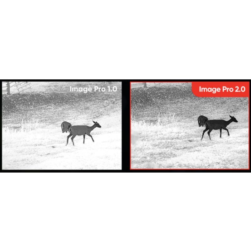 Hikmicro - Falcon FH 25 - Monoculaire d'imagerie thermique