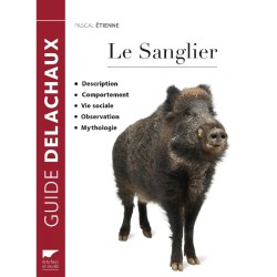 Le sanglier - Description, comportement, vie sociale, observation, mythologie