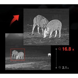 Hikmicro - Falcon FQ 25 - Monoculaire d'imagerie thermique