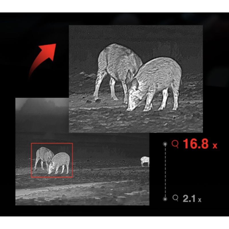 Hikmicro - Falcon FQ 25 - Monoculaire d'imagerie thermique