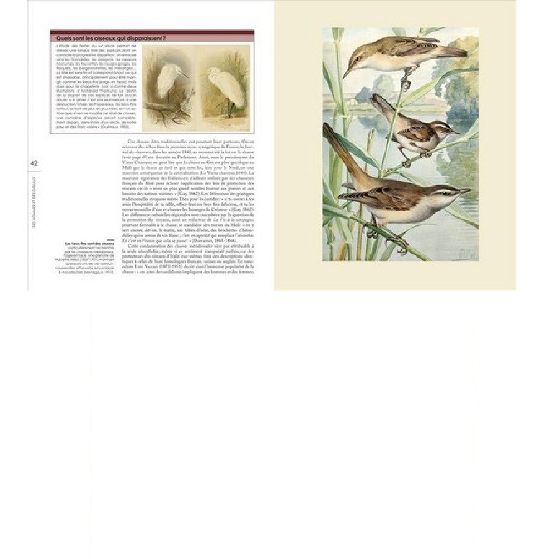 Des hommes et des oiseaux - Une histoire de la protection des oiseaux