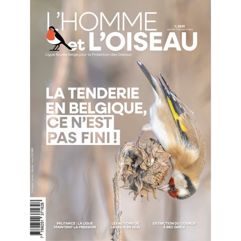 Revue L'Homme et l'Oiseau - Comment observer la migration des oiseaux ?