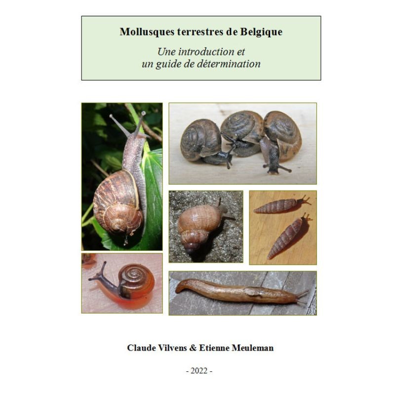 Mollusques terrestres de Belgique - Introduction et guide de détermination