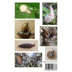 Mollusques terrestres de Belgique - Introduction et guide de détermination