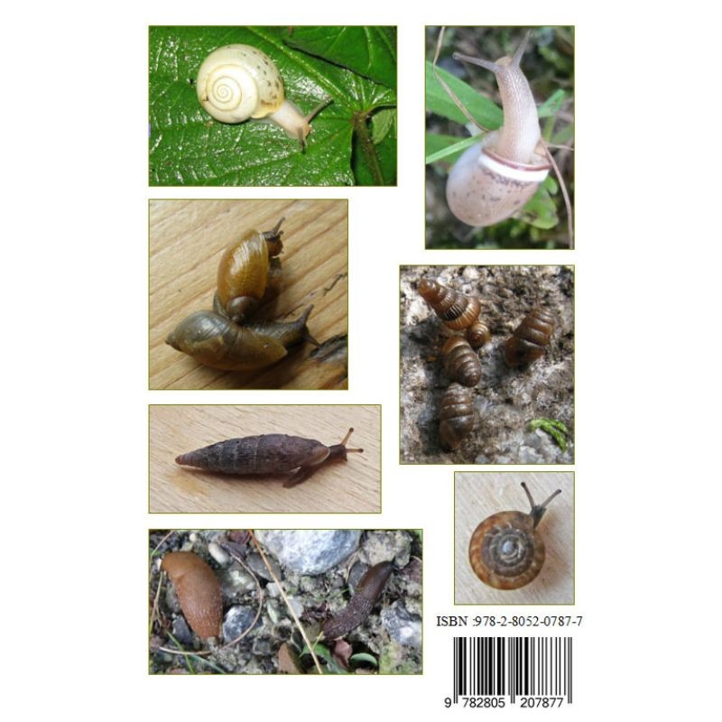 Mollusques terrestres de Belgique - Introduction et guide de détermination