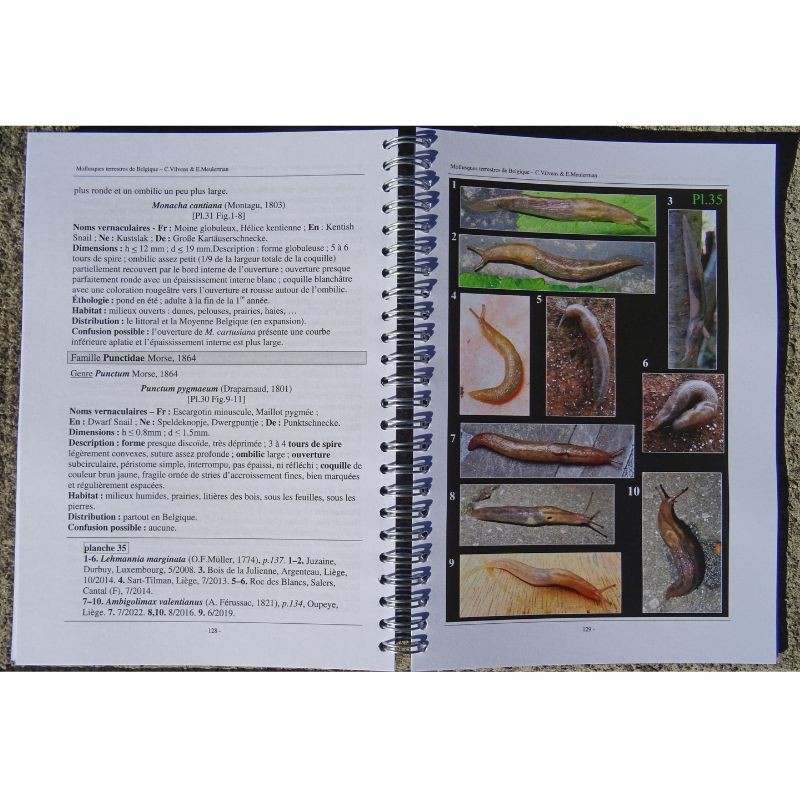 Mollusques terrestres de Belgique - Introduction et guide de détermination