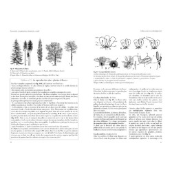 Connaitre, comprendre et protéger la forêt - Initiation à l’écologie forestière