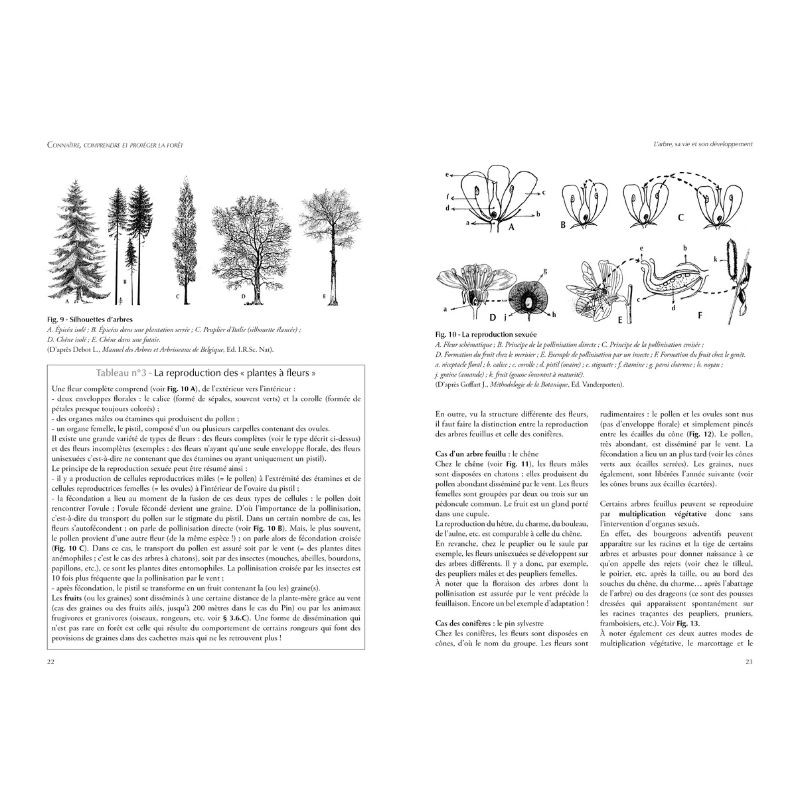 Connaitre, comprendre et protéger la forêt - Initiation à l’écologie forestière