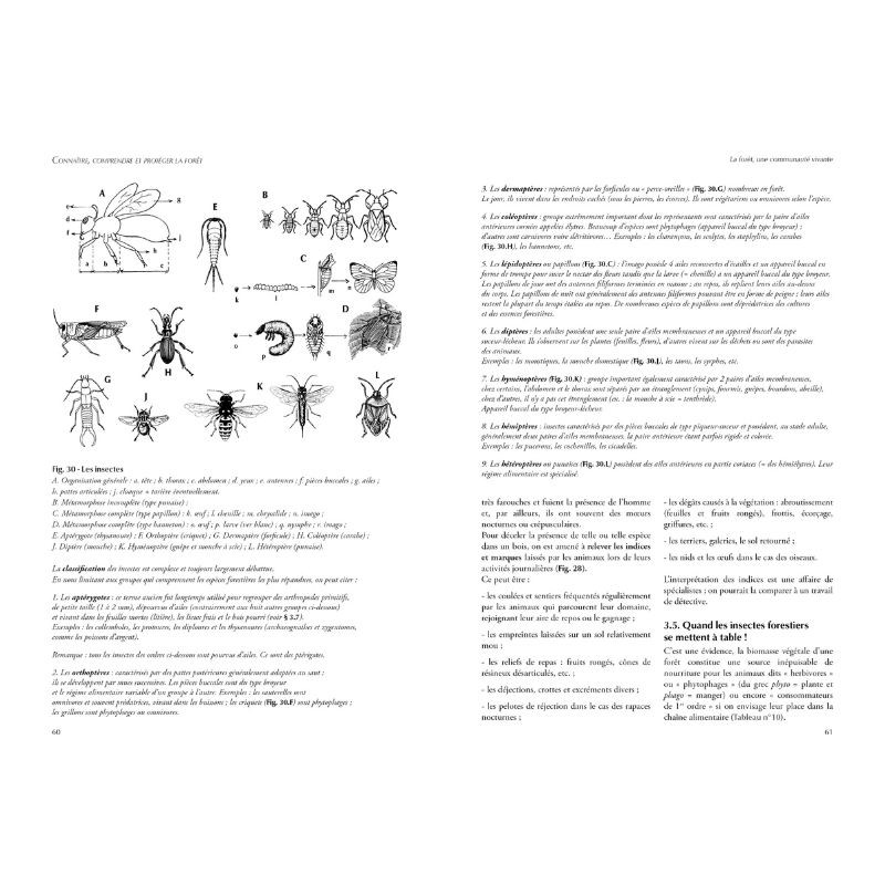 Connaitre, comprendre et protéger la forêt - Initiation à l’écologie forestière