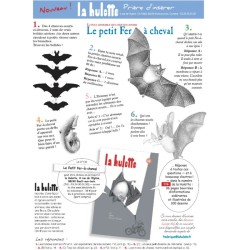 La Hulotte N°116 - Le Petit Fer-à-Cheval - 1/3