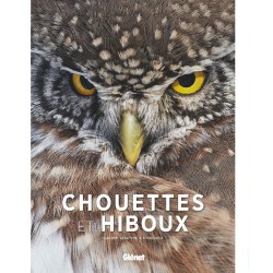 Chouettes et hiboux Chouettes et hiboux