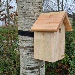 Kit Accroche Nichoir