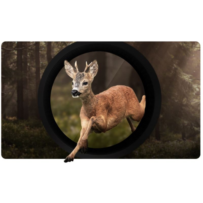 Hikmicro - Habrok 4K HE 25 L - Jumelles numériques thermiques Hikmicro - Habrok 4K HE 25 L - Jumelles numériques thermiques