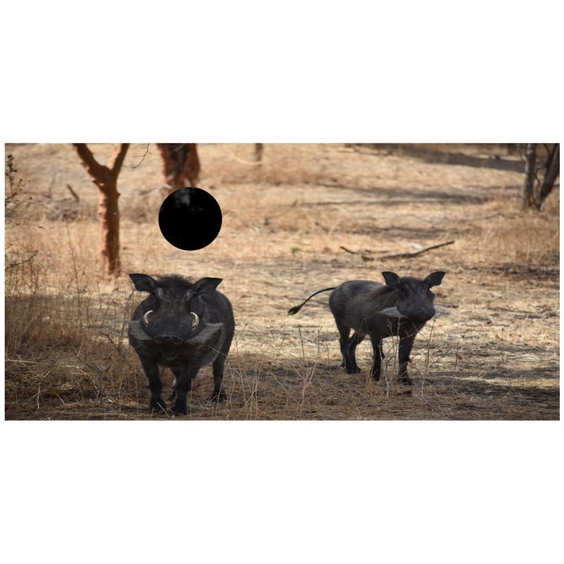 Hikmicro - Habrok Pro HX 60 L - Jumelles numériques thermiques