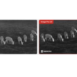 Hikmicro - Habrok Pro HX 60 L - Jumelles numériques thermiques