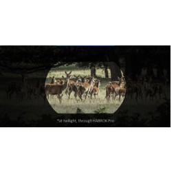 Hikmicro - Habrok Pro HX 60 L - Jumelles numériques thermiques