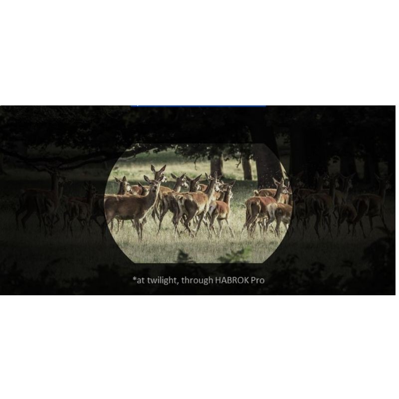 Hikmicro - Habrok Pro HX 60 L - Jumelles numériques thermiques