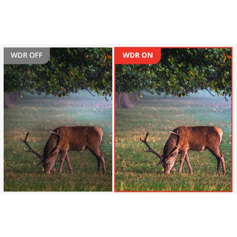 Hikmicro - Habrok Pro HX 60 L - Jumelles numériques thermiques