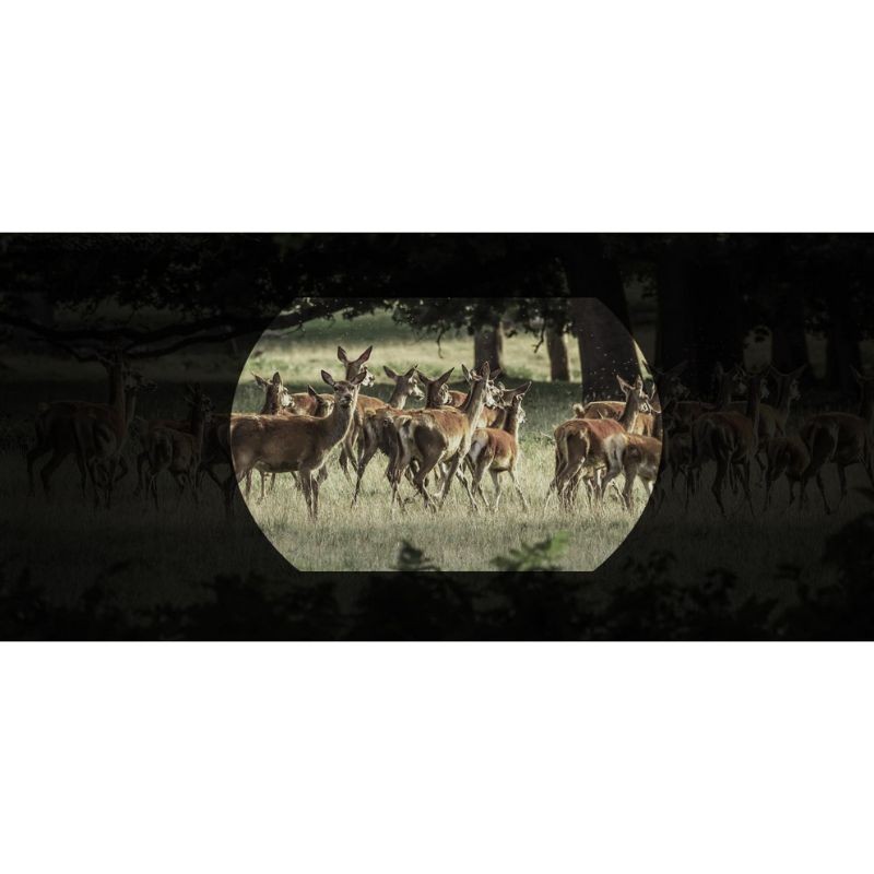 Hikmicro - Habrok Pro HQ 50 LN - Jumelles numériques thermiques