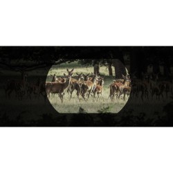 Hikmicro - Habrok Pro HQ 50 L - Jumelles numériques thermiques