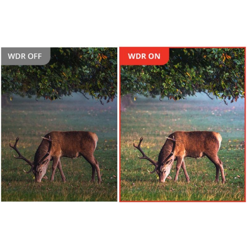 Hikmicro - Habrok Pro HQ 50 L - Jumelles numériques thermiques