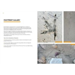 Birds That Leave Their Mark - Tracks and Signs of Birds in South-West Europe