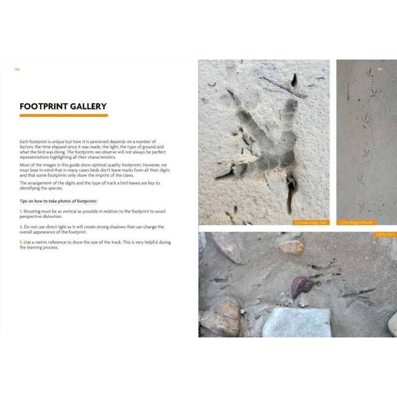 Birds That Leave Their Mark - Tracks and Signs of Birds in South-West Europe