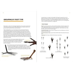 Birds That Leave Their Mark - Tracks and Signs of Birds in South-West Europe