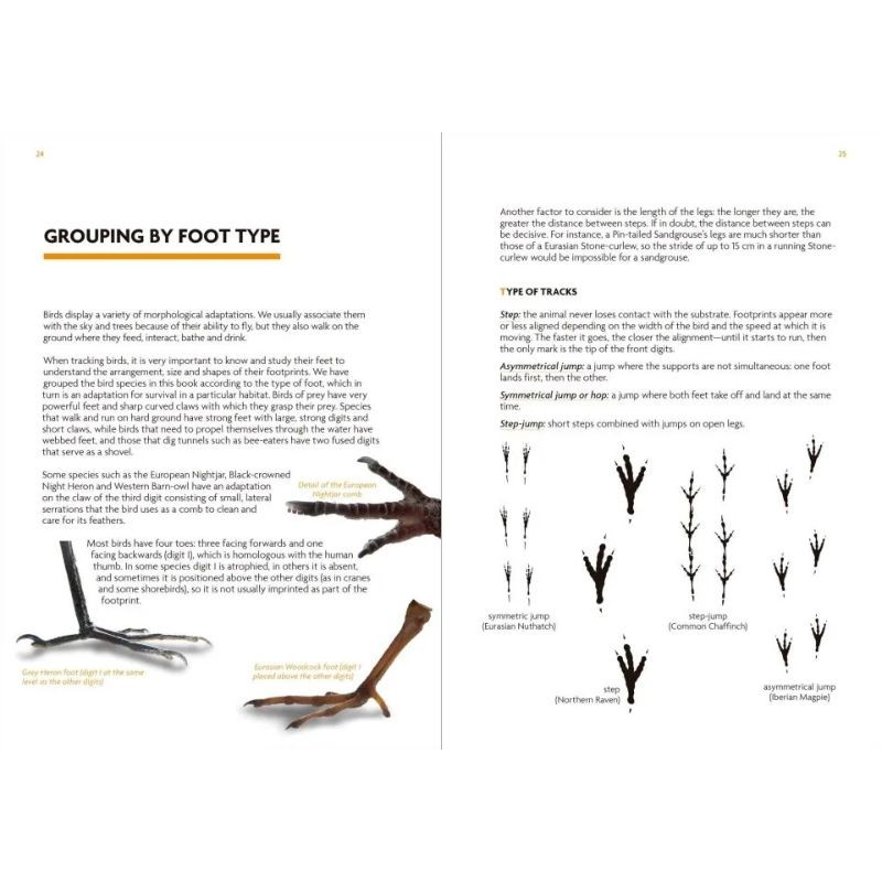 Birds That Leave Their Mark - Tracks and Signs of Birds in South-West Europe