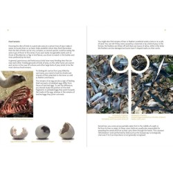 Birds That Leave Their Mark - Tracks and Signs of Birds in South-West Europe