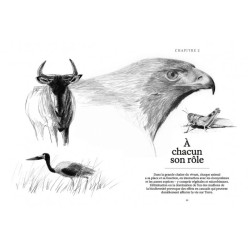 Ces animaux qui nous protègent