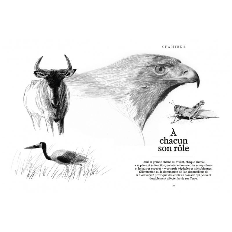 Ces animaux qui nous protègent