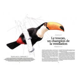 Ces animaux qui nous protègent