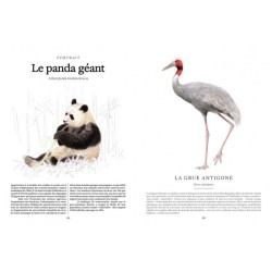 Ces animaux qui nous protègent