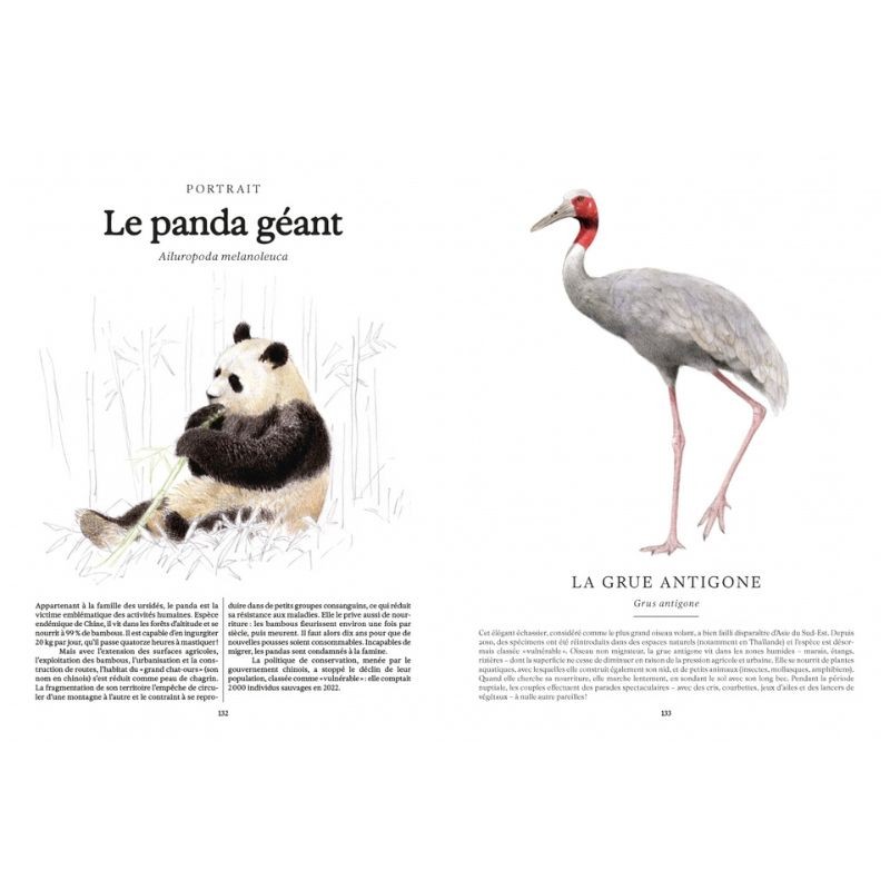 Ces animaux qui nous protègent