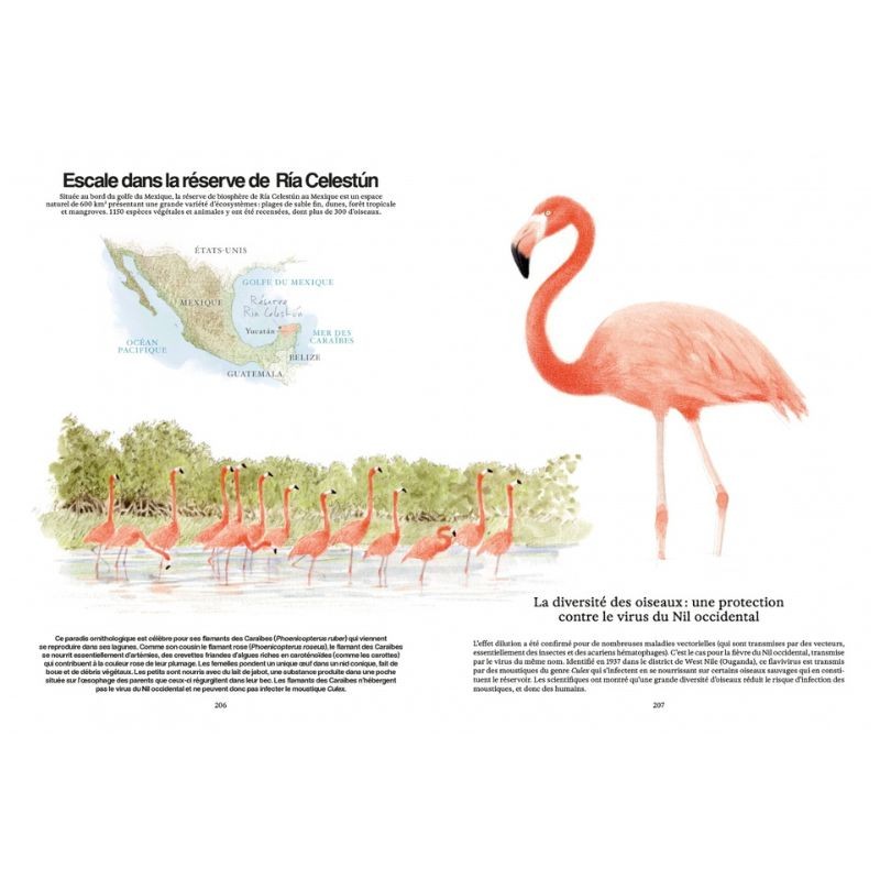 Ces animaux qui nous protègent