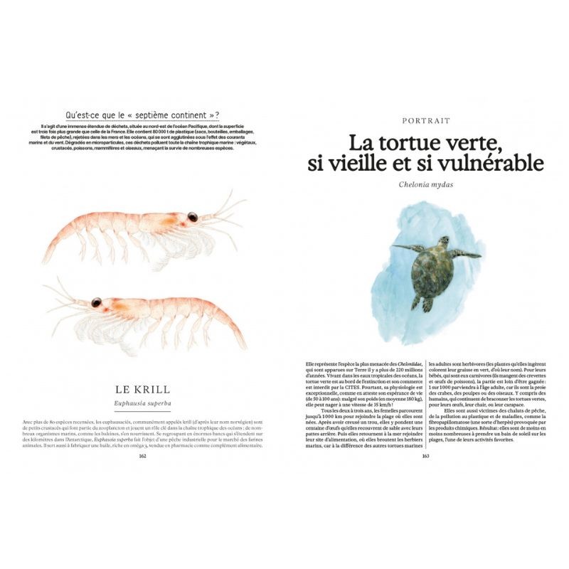 Ces animaux qui nous protègent