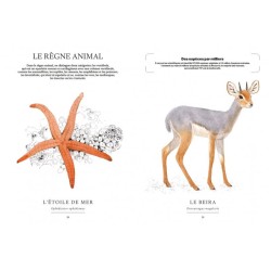 Ces animaux qui nous protègent