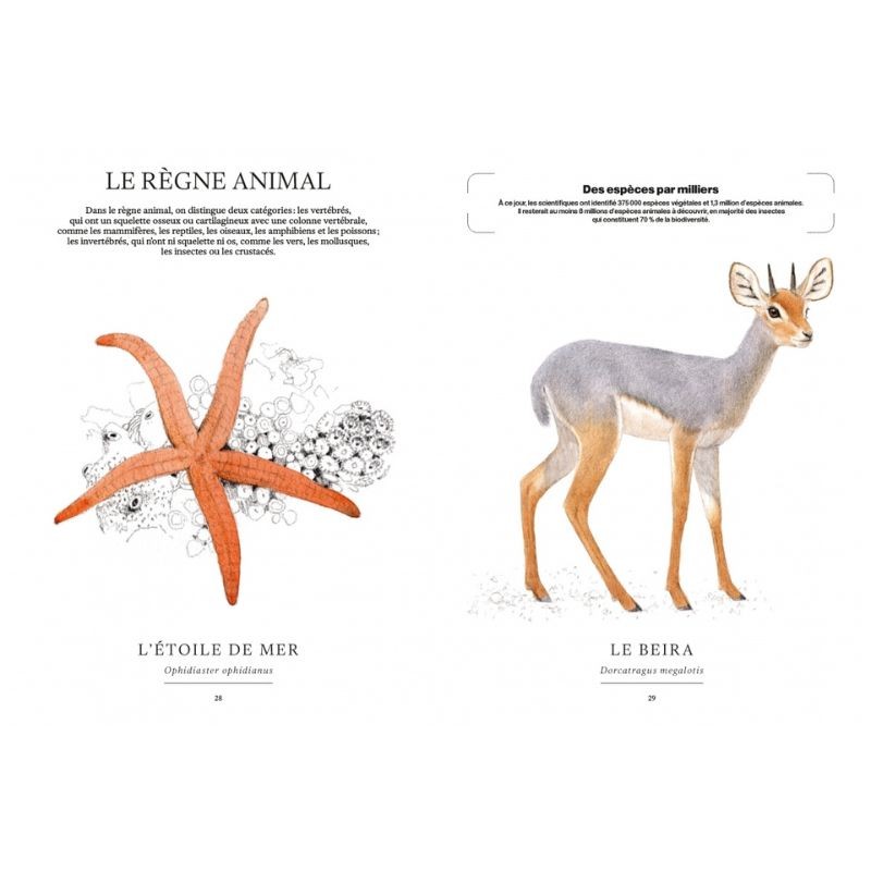 Ces animaux qui nous protègent