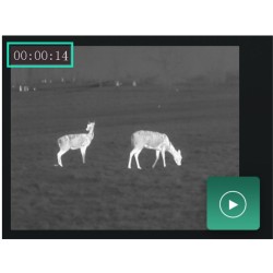 Hikmicro - Lynx Pro LH 35 2.0 - Monoculaire d'imagerie thermique Hikmicro - Lynx Pro LH 35 2.0 - Monoculaire d'imagerie thermique