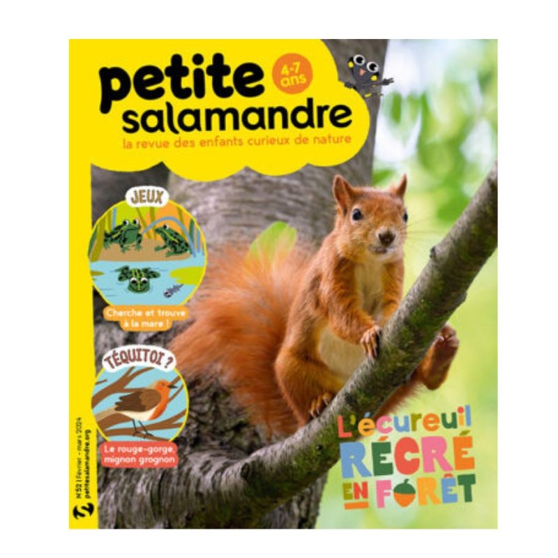 L’écureuil : récré en forêt - Petite Salamandre n°52