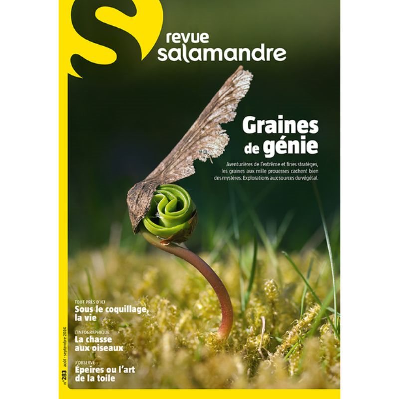 Graines de génie - Revue La Salamandre N°283