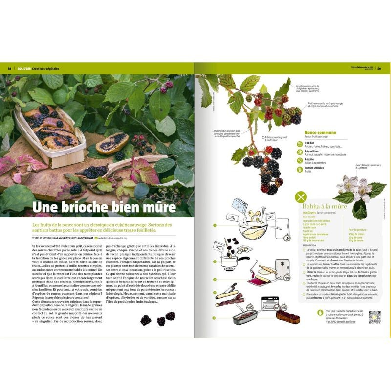 Graines de génie - Revue La Salamandre N°283