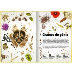 Graines de génie - Revue La Salamandre N°283
