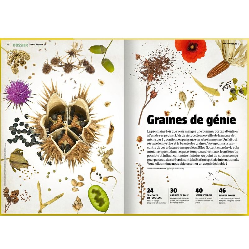 Graines de génie - Revue La Salamandre N°283