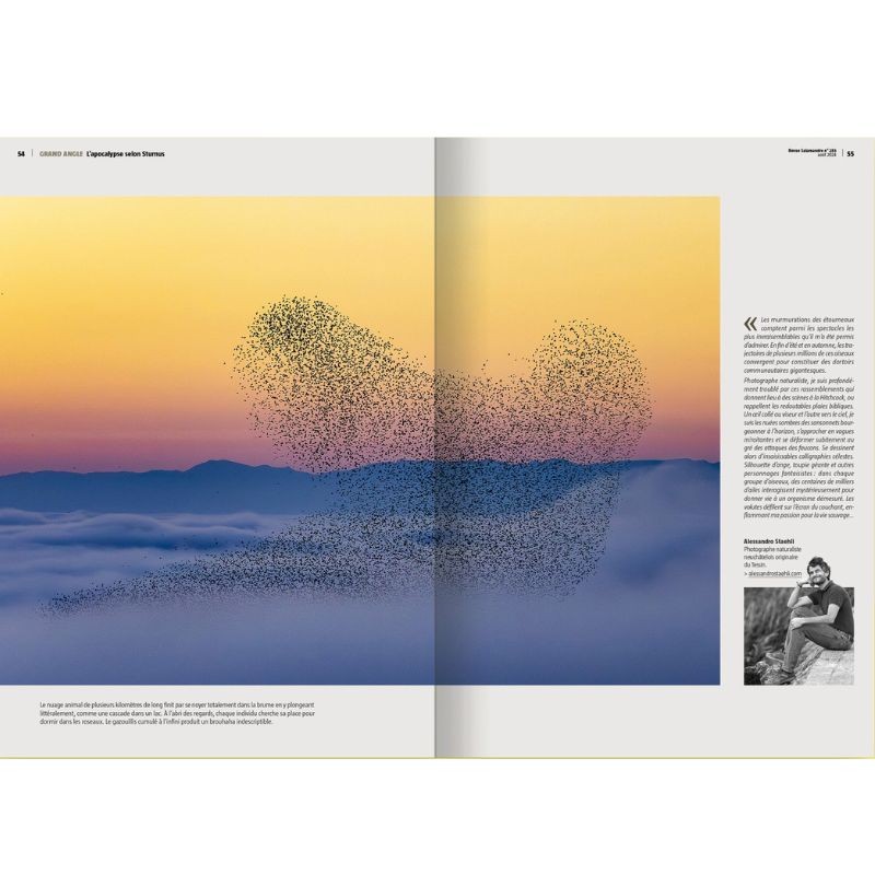 Graines de génie - Revue La Salamandre N°283